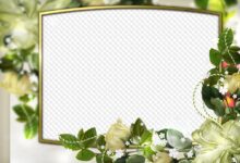 Photo of Прозрачные решения для простоты в использовании