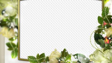 Photo of Прозрачные решения для простоты в использовании