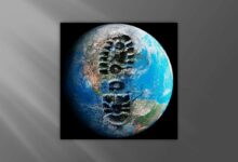 Photo of Экологически чистые решения для устойчивого развития