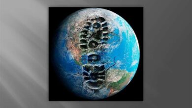 Photo of Экологически чистые решения для устойчивого развития